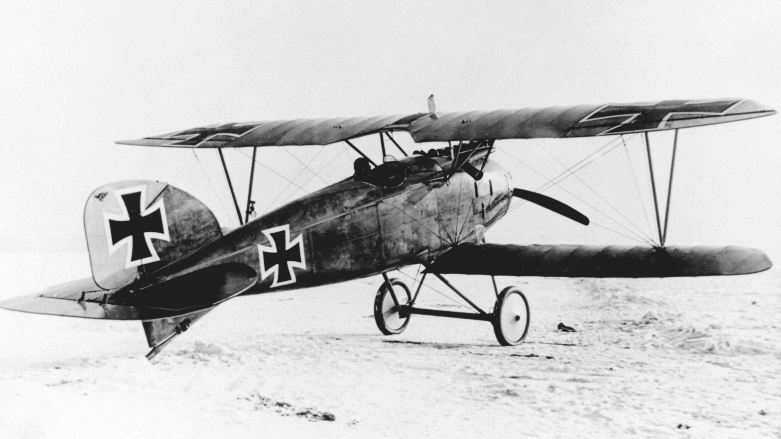 In Ten einde raad Verouderd Albatros D.III | Plane-Encyclopedia
